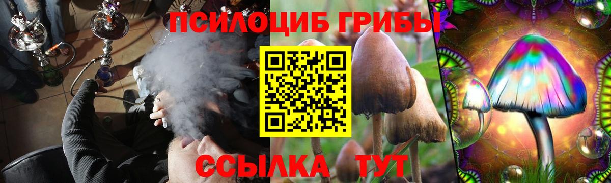 купить наркотики цена  Вход с VPN  Барнаул  Псилоцибиновые грибы Cubensis  Псилоцибиновые грибы MAGIC MUSHROOMS 